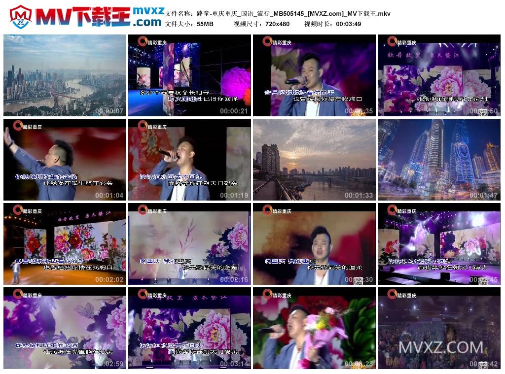 路童-重庆重庆_国语_流行_MB505145